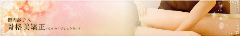 �������Z���s�X�g�Ɠ����q�����鐮�̂ƃG�X�e��Z���������I���W�i�����\�b�h�u���i�������v