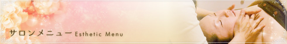 �G�X�e�E�q�[�����O���j���[ Esthetic��Ray-Ki Healing Menu