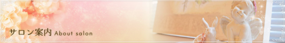 �T�����ē� About salon