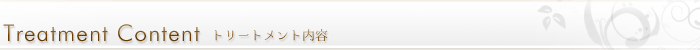 Treatment Content ���i�������i���������т��傤�����j�g���[�g�����g���e